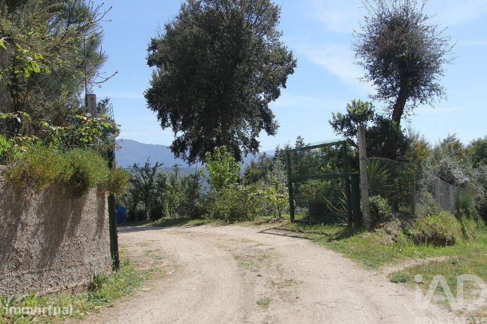 Terreno Agrícola em Oliveira do Hospital e São Paio de Gramaços