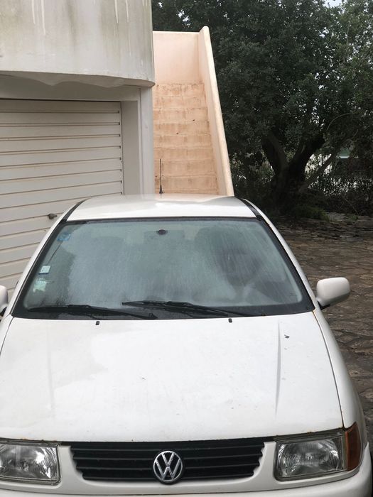 VW Polo