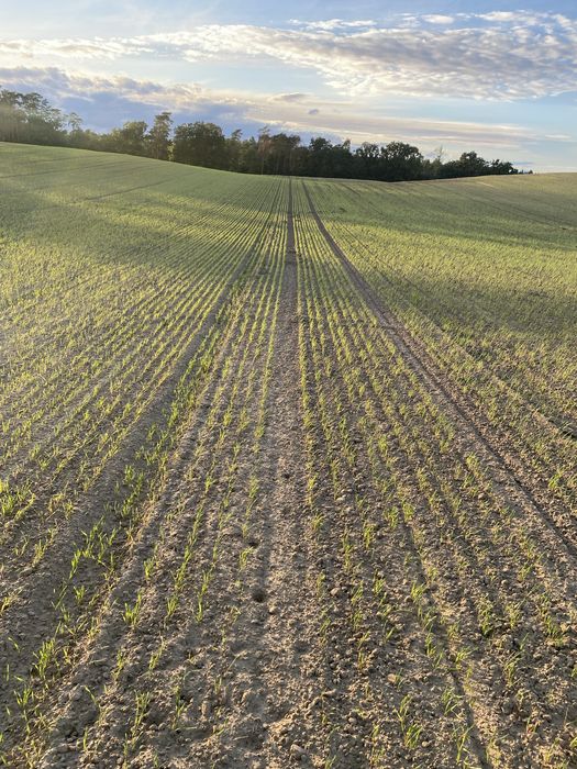 Amazone D8 special ostatni model