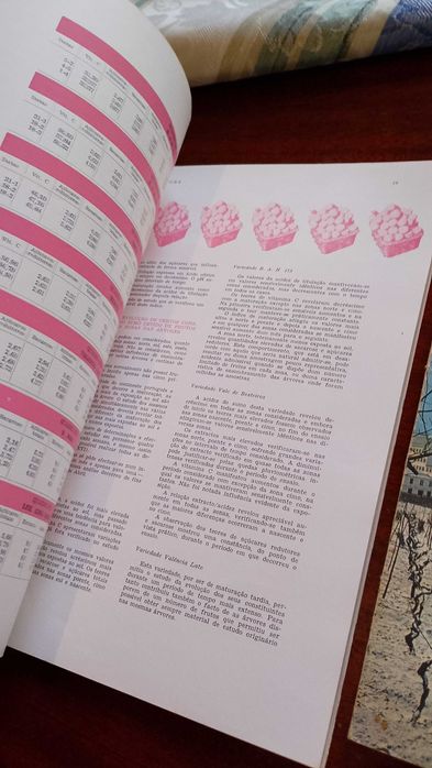 Agricultura 1963 Direção Geral Serviços Agrícolas