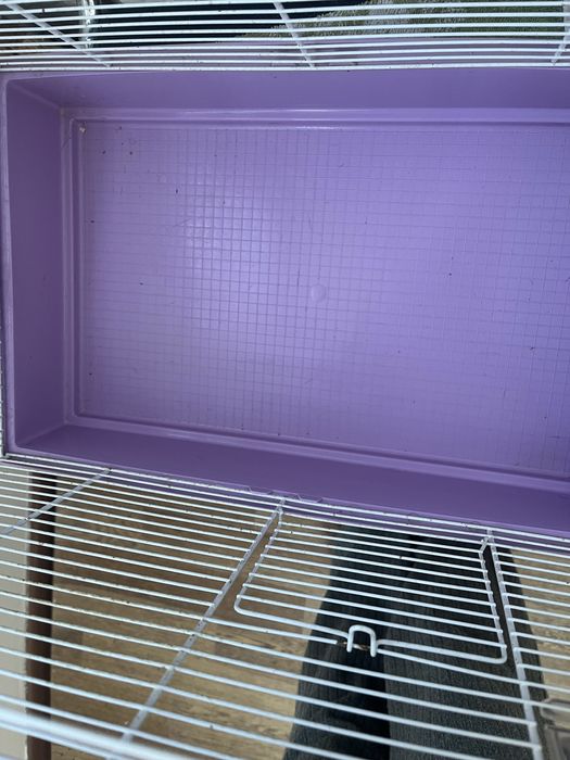 Клітка для гризунів