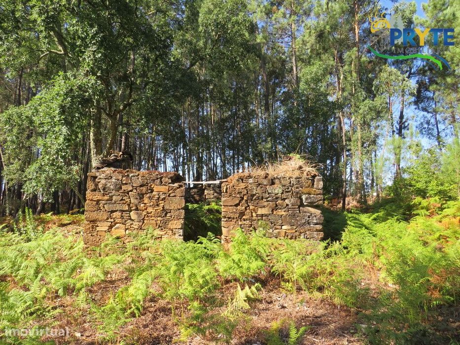 Ruína com terreno com 2380 metros quadrados no Cabeçudo - Sertã