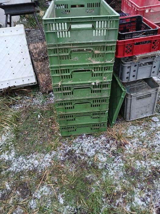 Sprzedam skrzynki plastikowe