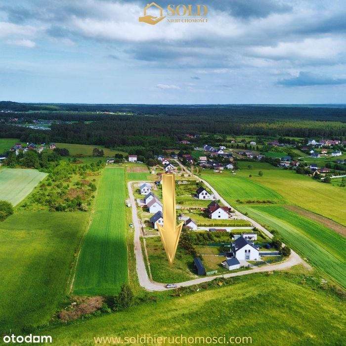 Zdjęcie 2