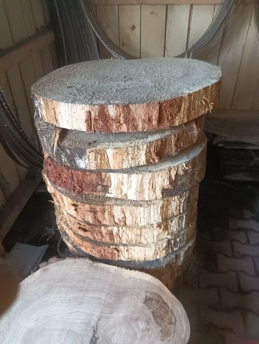 Plaster dębowy...