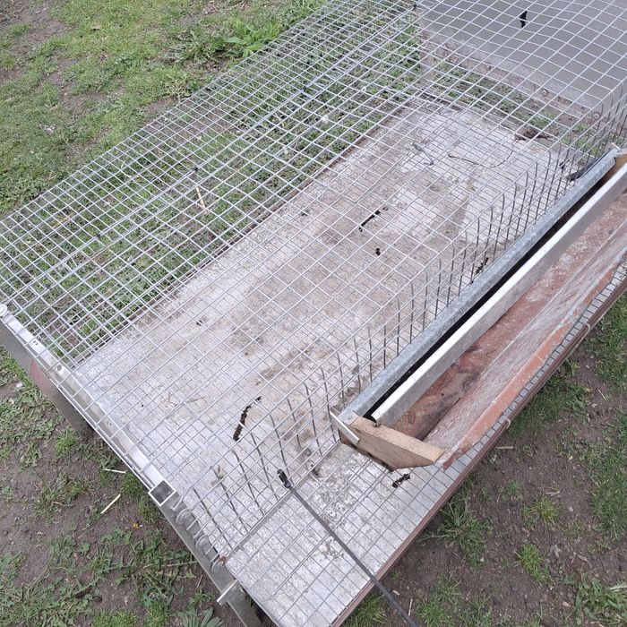 Klatka na przepiórki