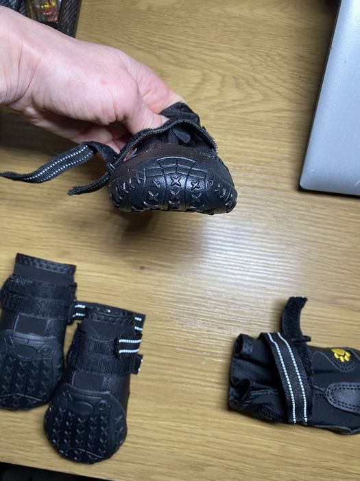 Обувь для собак, обув для тварин