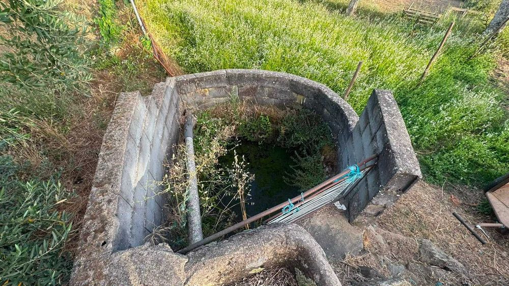 Quinta / Terreno Rústico para Venda – Palvarinho, Salgueiro do Campo