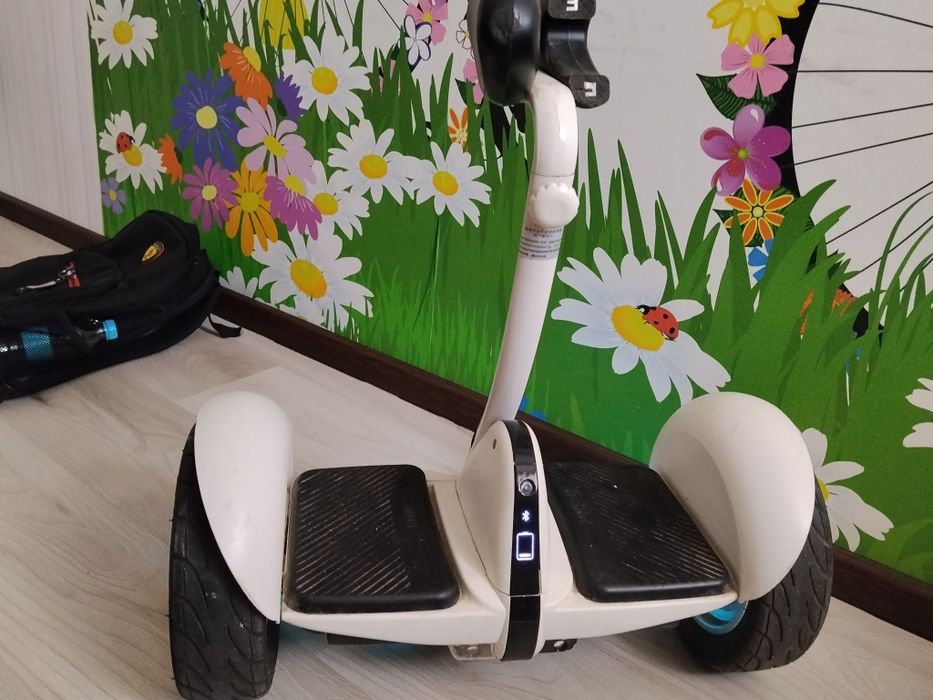 Гераскутер Minirobot