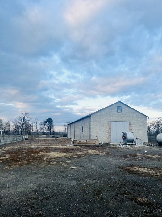 Продаж комерційного приміщення з ділянкою у с Крупа, ТОРГ