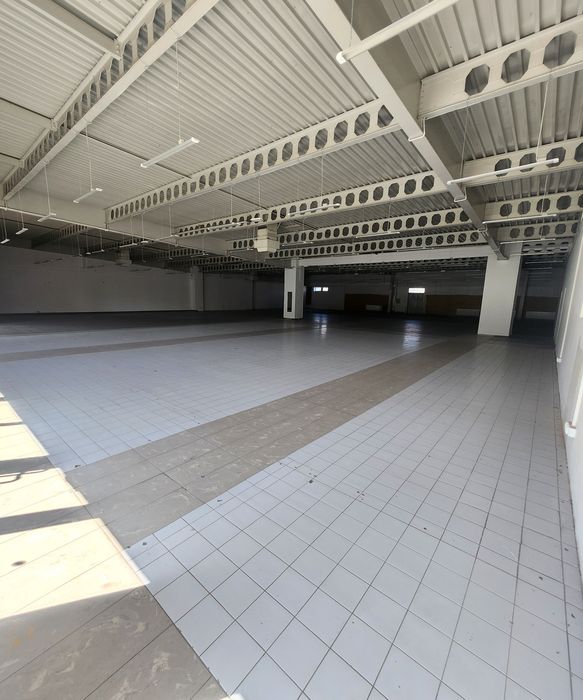 1100 m² przy obwodnicy – maksymalna widoczność, duży ruch samochodów