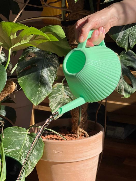 Podlewanie w duecie – uroczy zestaw konewek 3D (1L i 200ml)