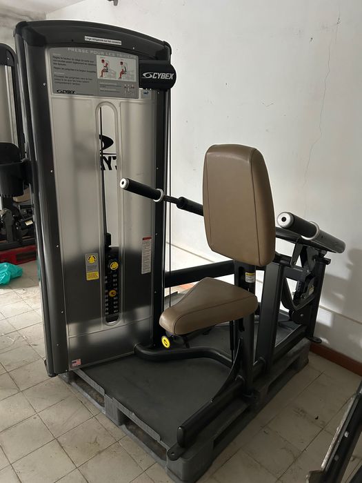 Triceps Dips « Afundos » Cybex VR3