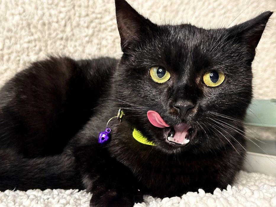 Мамо,знайдись,я тебе дуже чекаю!