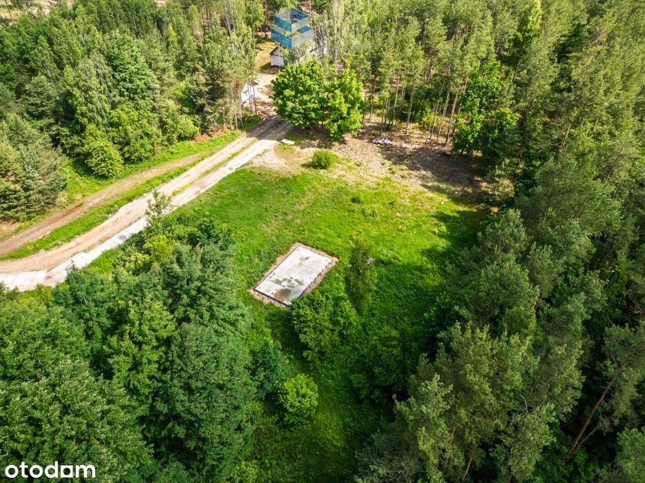 Zwierzewo | projekt | pozwolenie | Szeląg Wielki - Więcej