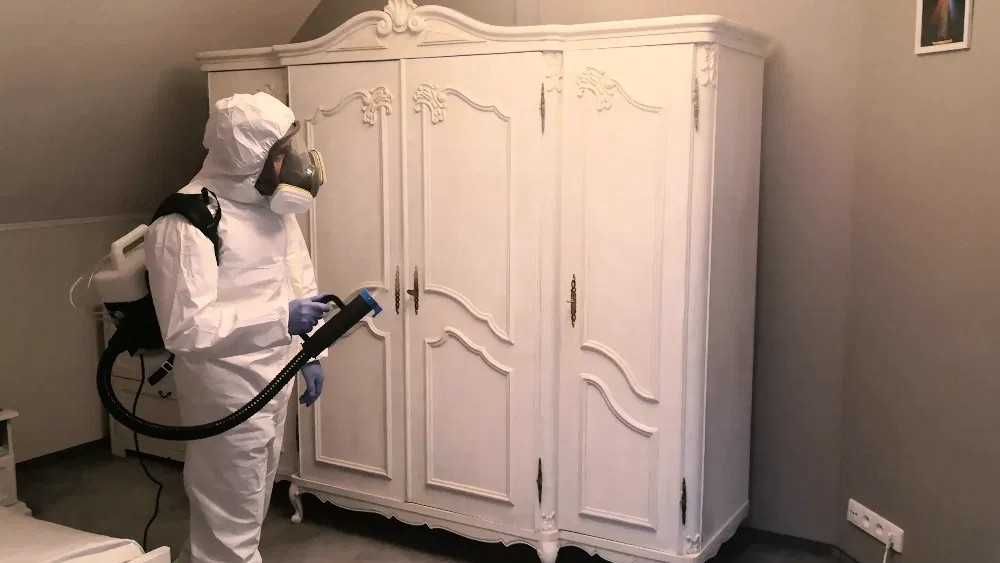 Deratyzacja Dezynsekcja Odgrzybianie Fumigacja Gazowanie zboża drewna