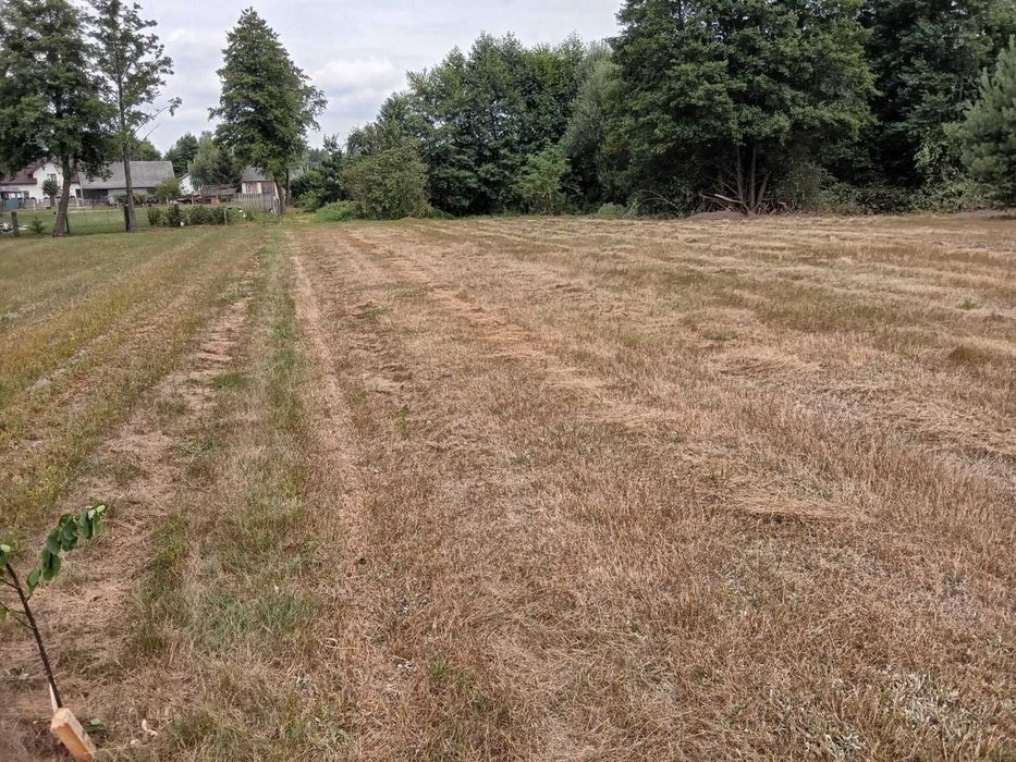 Działka budowlana Chruścice 28-400 Pińczów, świętokrzyskie - Widok 5
