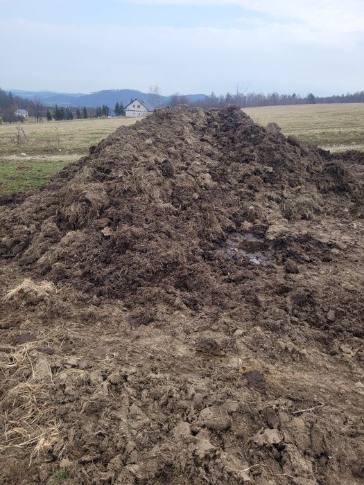 Sprzedam Obornik Bydlecy