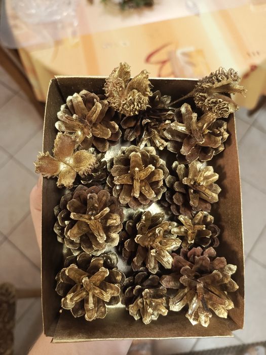 Susz szyszki pozlacane