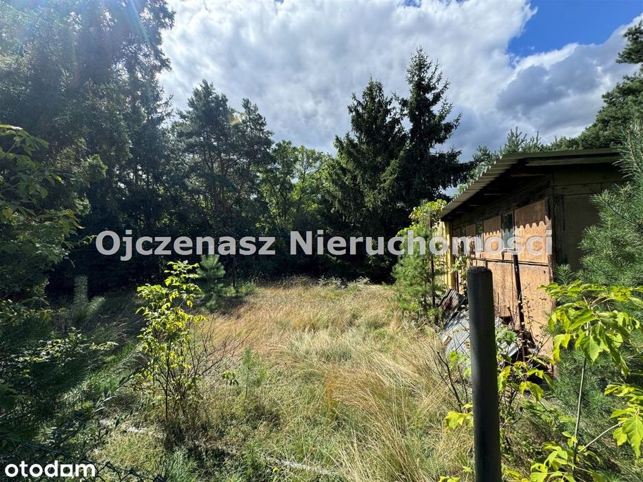 Modernistyczna willa z duzym potencjałem