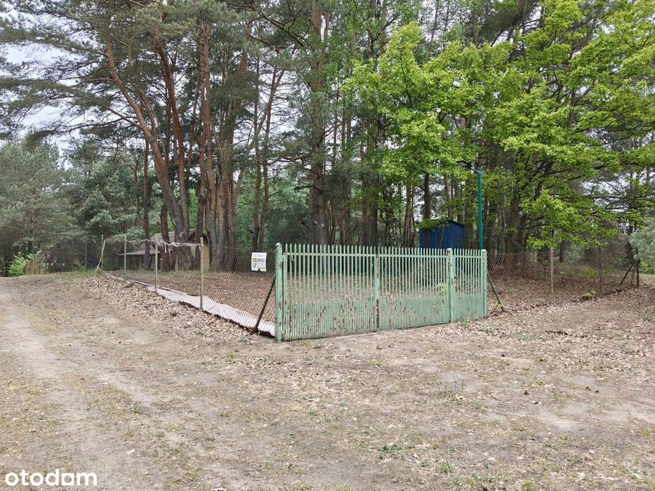Syndyk sprzeda - Łacha