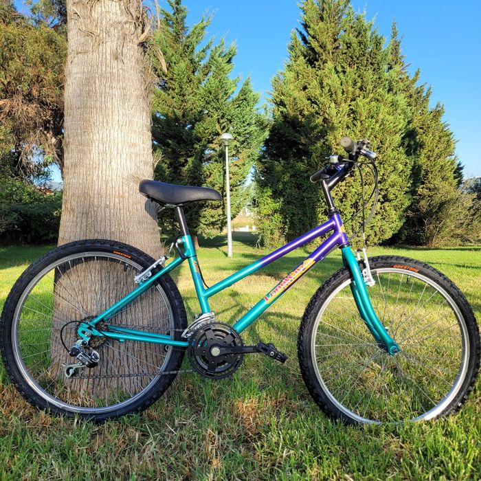 Bicicleta LW aro 24, ótimo estado