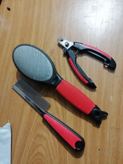 Conjunto para Gatos