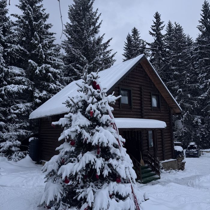 «Котеджі біля лісу» на 4-8 осіб