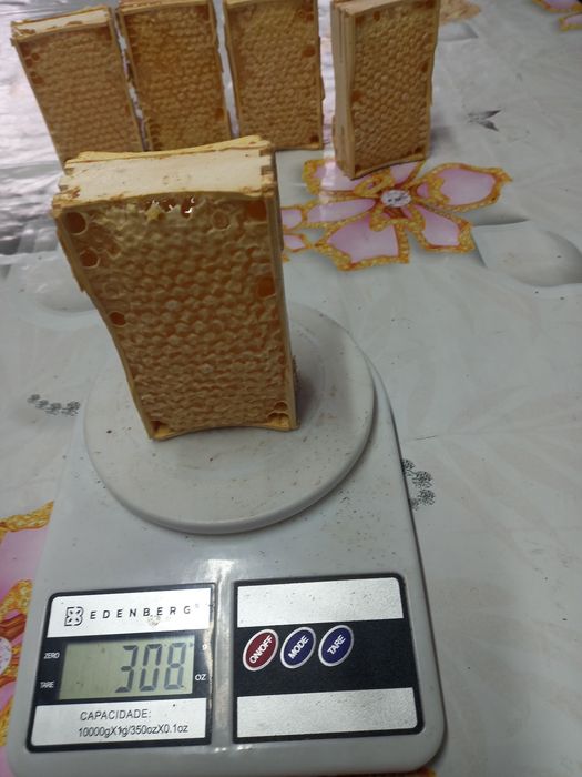 Продам мед в сотах 2026 року зібраний.