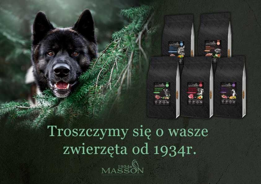 Sucha karma Bezzbożowa i Hypoalergiczna Light Masson indyk 2kg