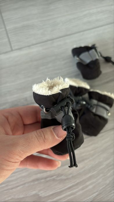 Взуття для собак маленьких порід