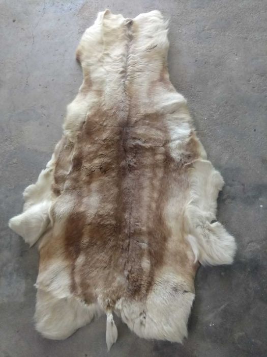 Vendo Tapete em pele