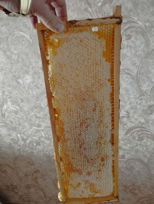 Мед (в сотах теж)