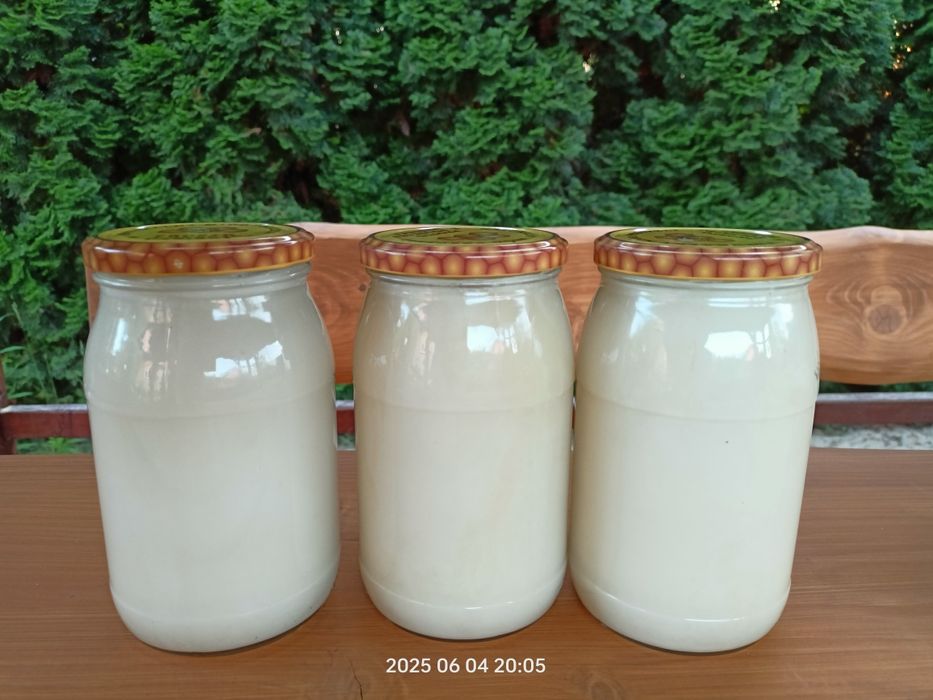 Miód pszczeli rzepakowy