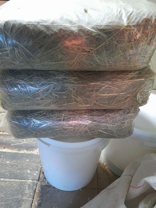 Sianko dla zwierzaków pakiet 180l (sianka) wysyłka olx