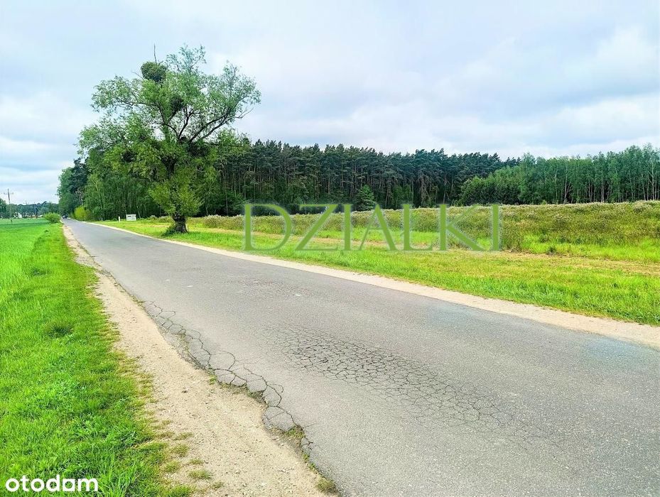 Śliczne działki pod lasem 5 minut z Opalenicy WARUNKI ZABUDOWY – pohled 6