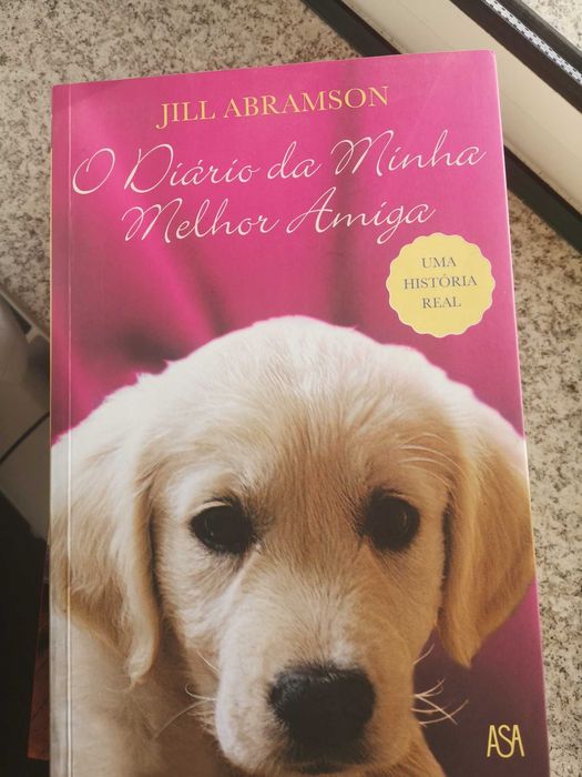 Livro- O Diário da Minha Melhor Amiga