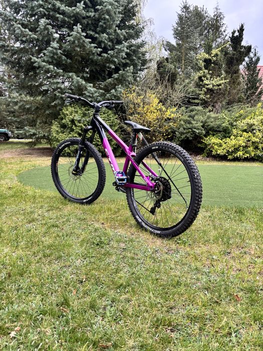 CTM raptor 1.0 fioletowy