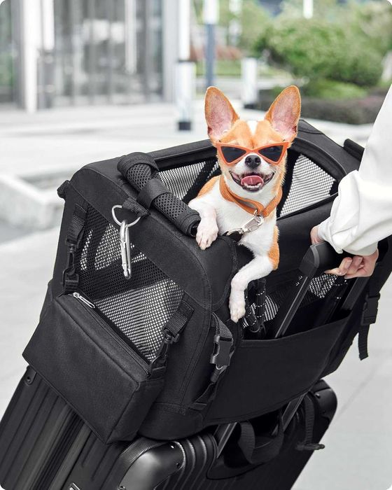 Nowy transporter dla psa / kojec / torba / skrzynia / FEANDREA !9890!