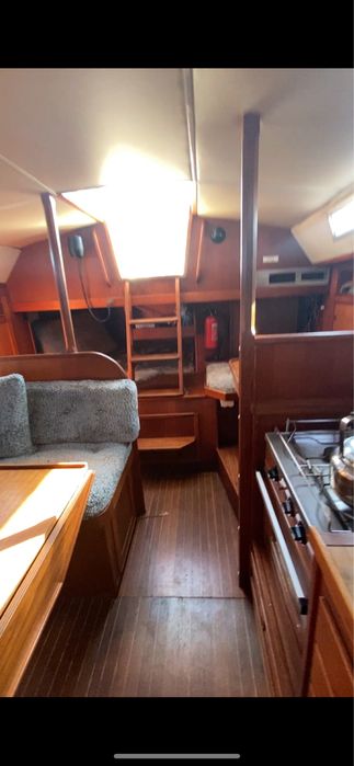 Парусная яхта Mamba 31