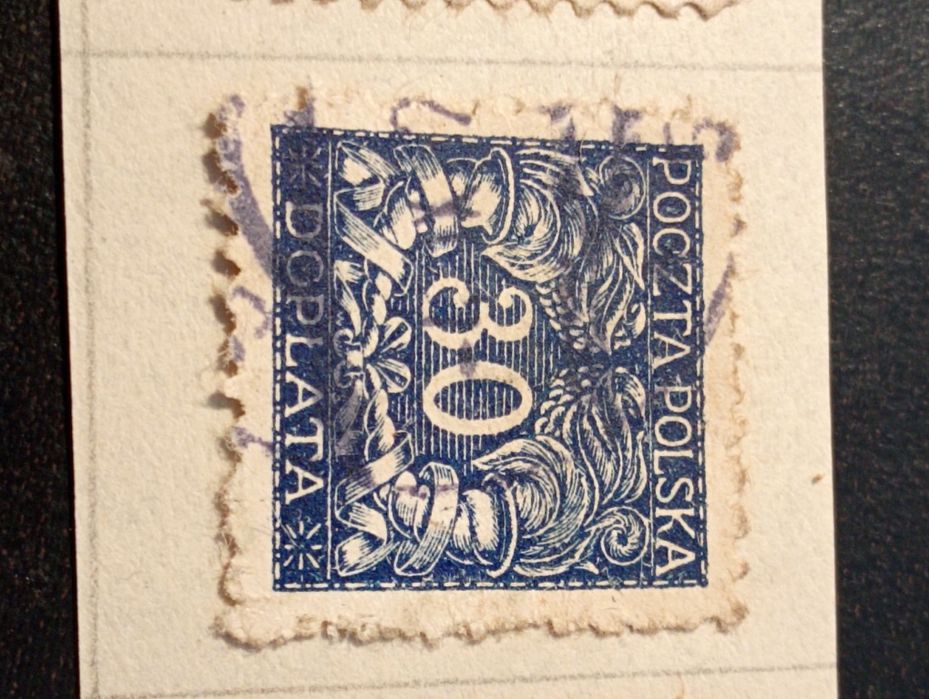 3 selos cobrança - Poczta Polska Doptata -  Polonia / Poland 1919