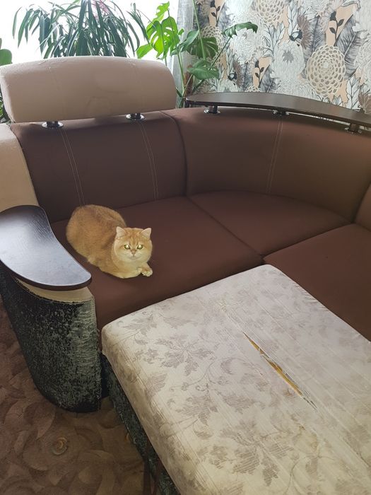 Отдам даром самовывоз