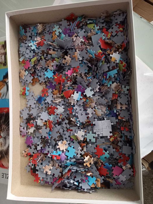 Puzzle piękna układanka dla cierpliwych 1000 elementów