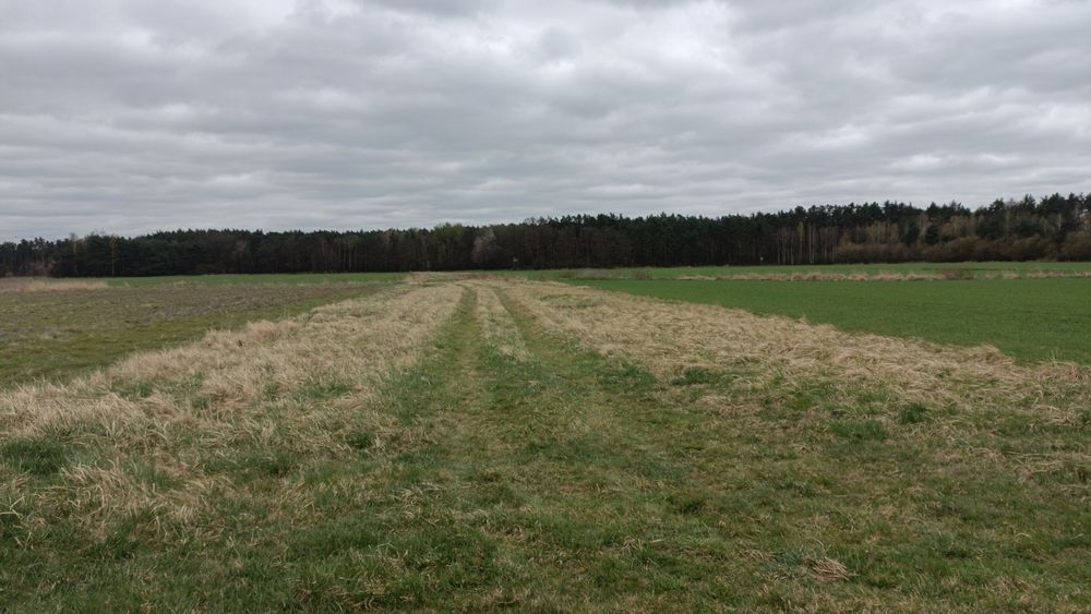 Działka budowlano rolna Kotórz Mały 0,549ha