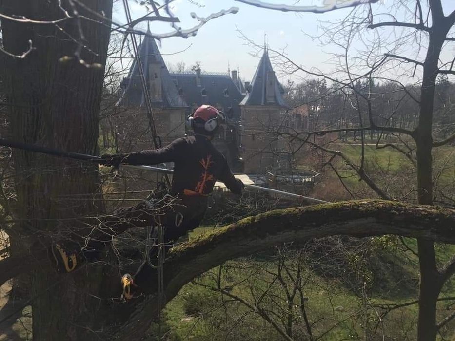 Wycinka drzew, pielęgnacja drzew, pielęgnacja ogrodów. Wlkp.