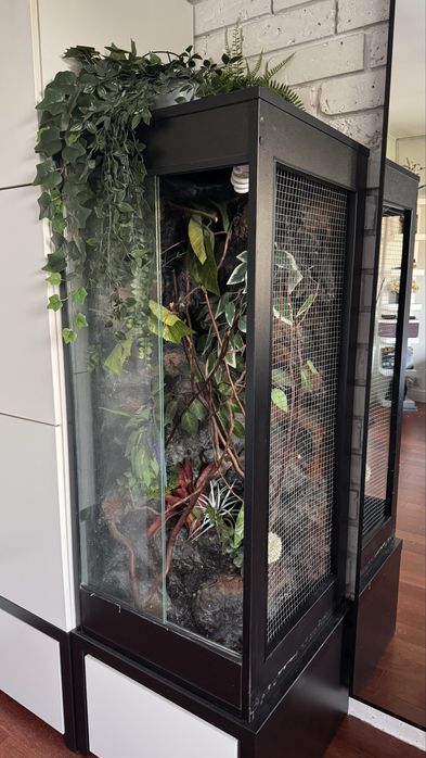 Sprzedam terrarium dla kameleona 50x50x115