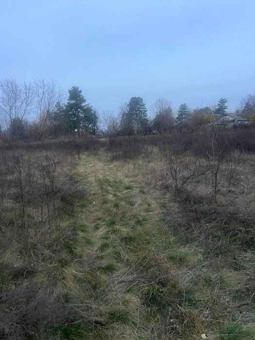 Пропоную до продажу земельну ділянку в с. Мошни