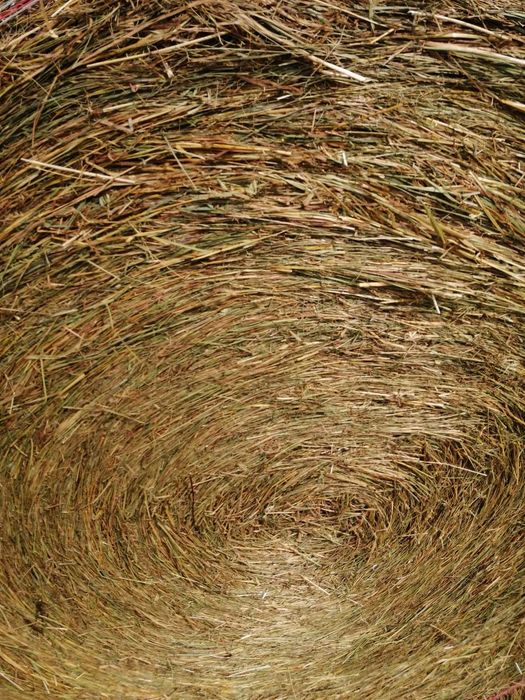 siano baloty z obszaru Natura 2000 załadunek GRATIS