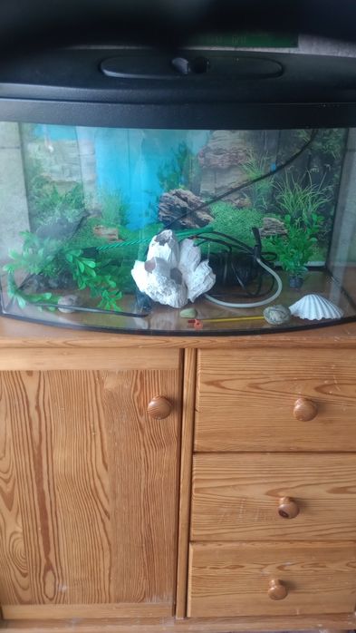 Sprzedam akwarium 60l