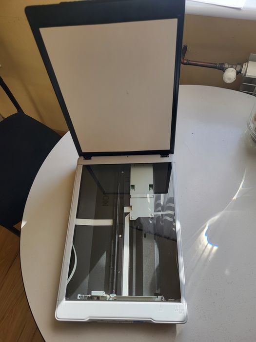 Epson skaner Perfection V19